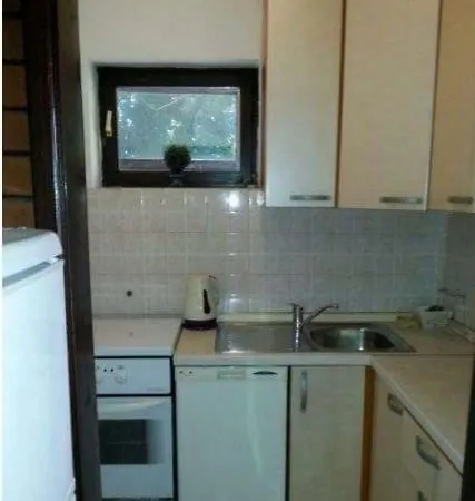 Danijela Apartman *